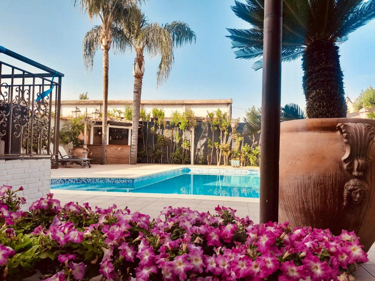 Sofi House-Appartamento In Villa Con Piscina سكافاتي المظهر الخارجي الصورة